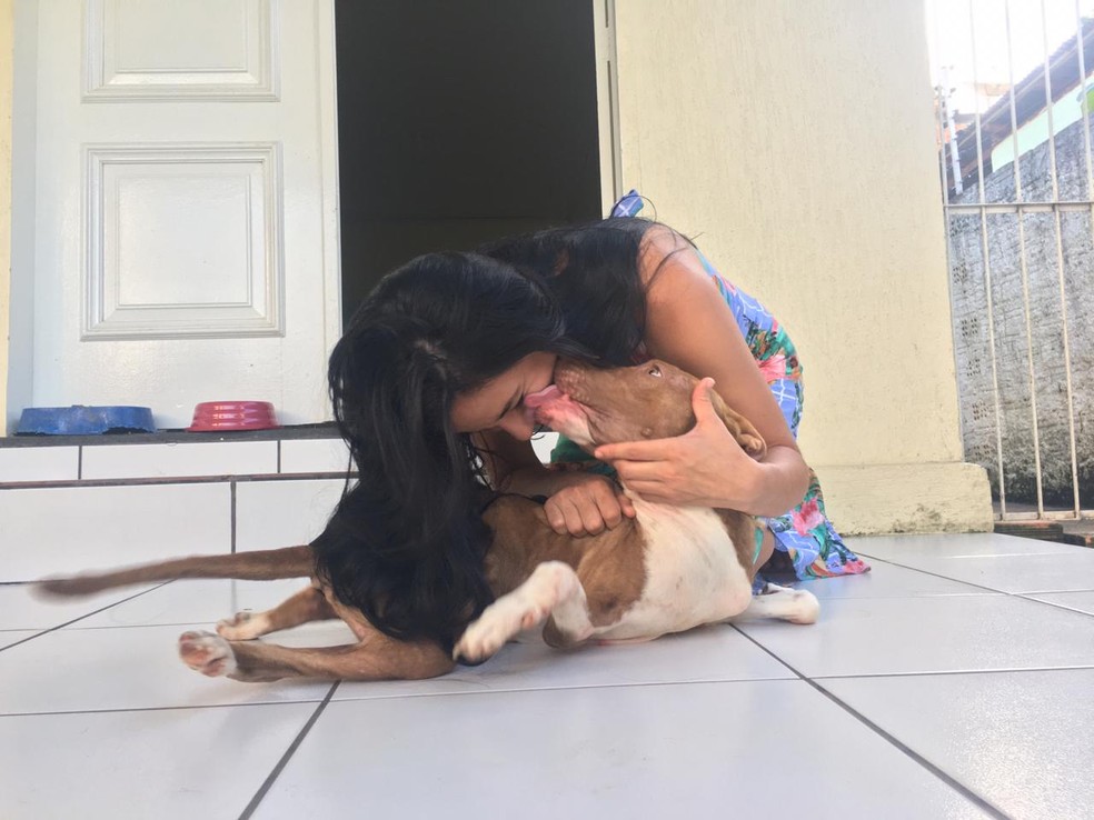 Cachorro com deficiência e abandonado em Porto Velho ganhou um lar.  — Foto: Mayara Subtil/G1