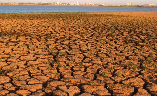 Degradação do solo prejudica produção de alimentos (Foto: Banco Mundial)