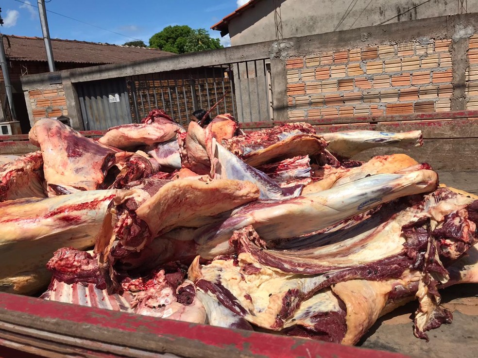 Carne era transportada em caminhão sem condições sanitárias — Foto: Divulgação