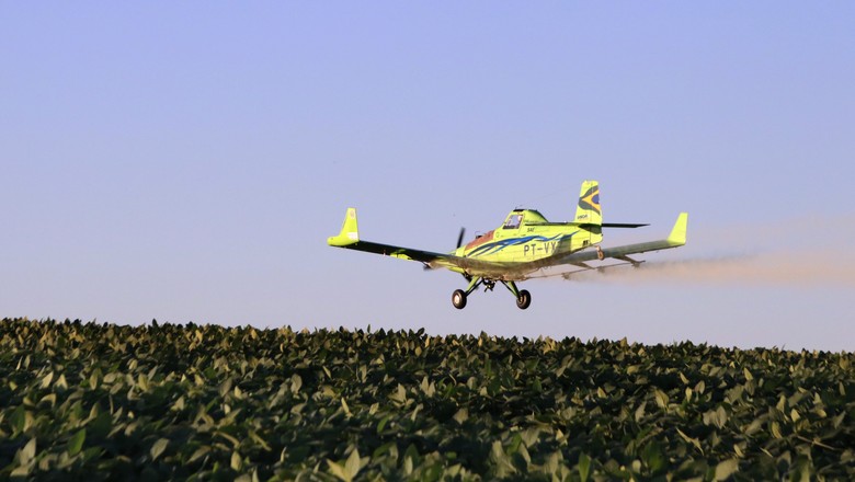 Aviação agrícola - avião (Foto: Castor Becker Júnior/Divulgação)