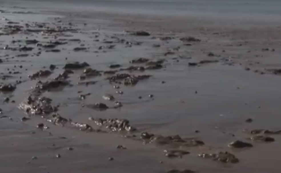 Pesquisadores procuram causas para aparecimento de lama em praias de Nova Viçosa, sul da Bahia — Foto: Reprodução/TV Santa Cruz