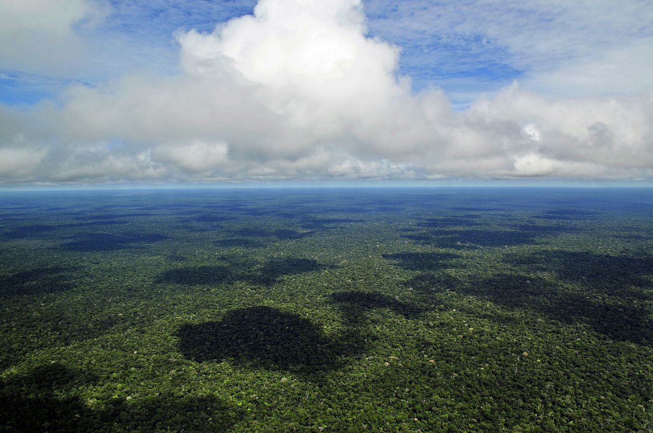 Vista aérea da Amazônia (Foto: Wikimedia Commons)