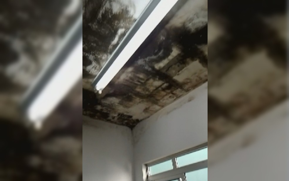 Mofo no teto do Cais Vila Nova em Goiânia, Goiás — Foto: Reprodução/TV Anhanguera