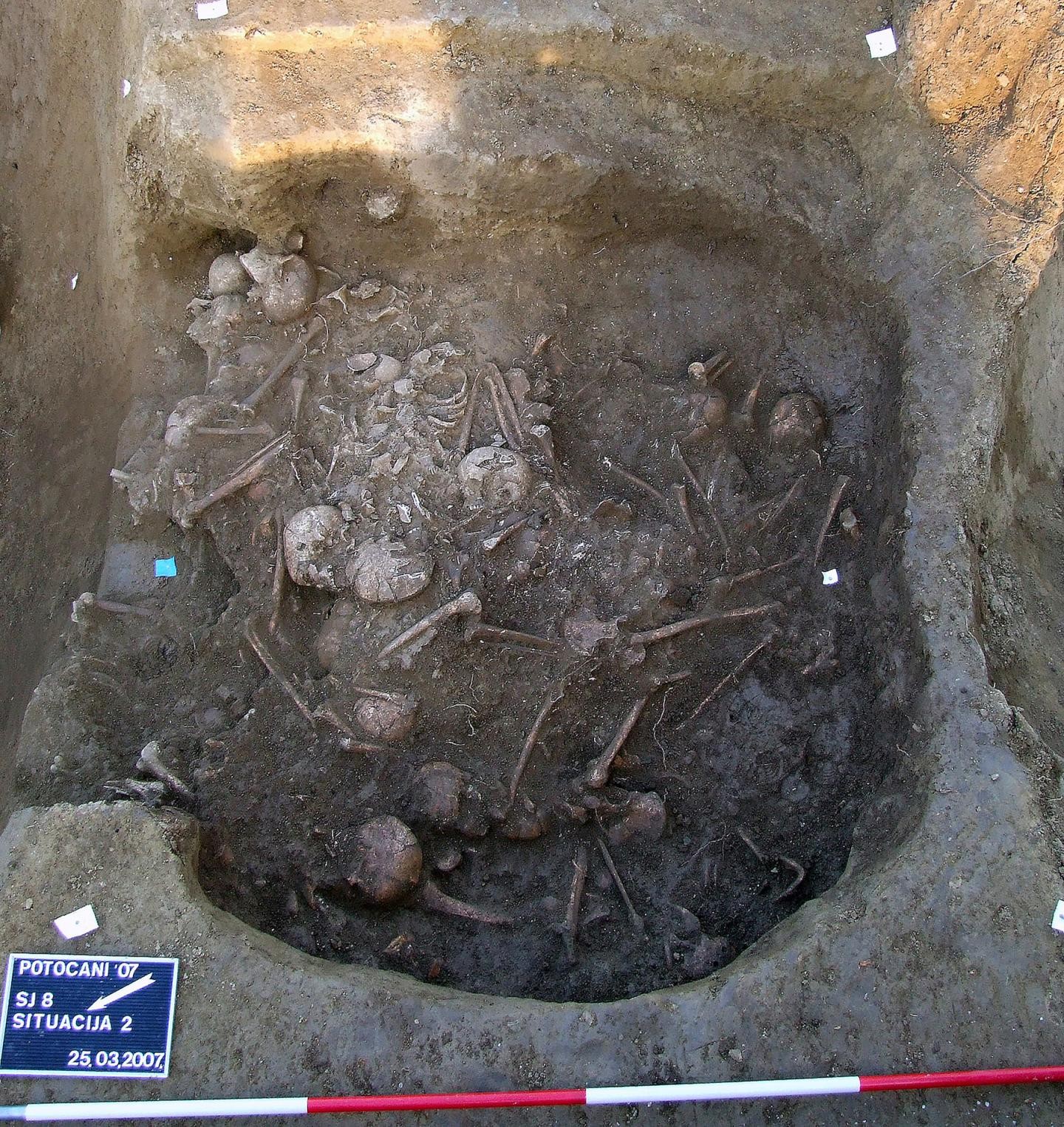 Restos de massacre ocorrido há 6,2 mil anos são encontrados na Croácia (Foto: Jacqueline Balen/Museu Arqueológico de Zagreb)