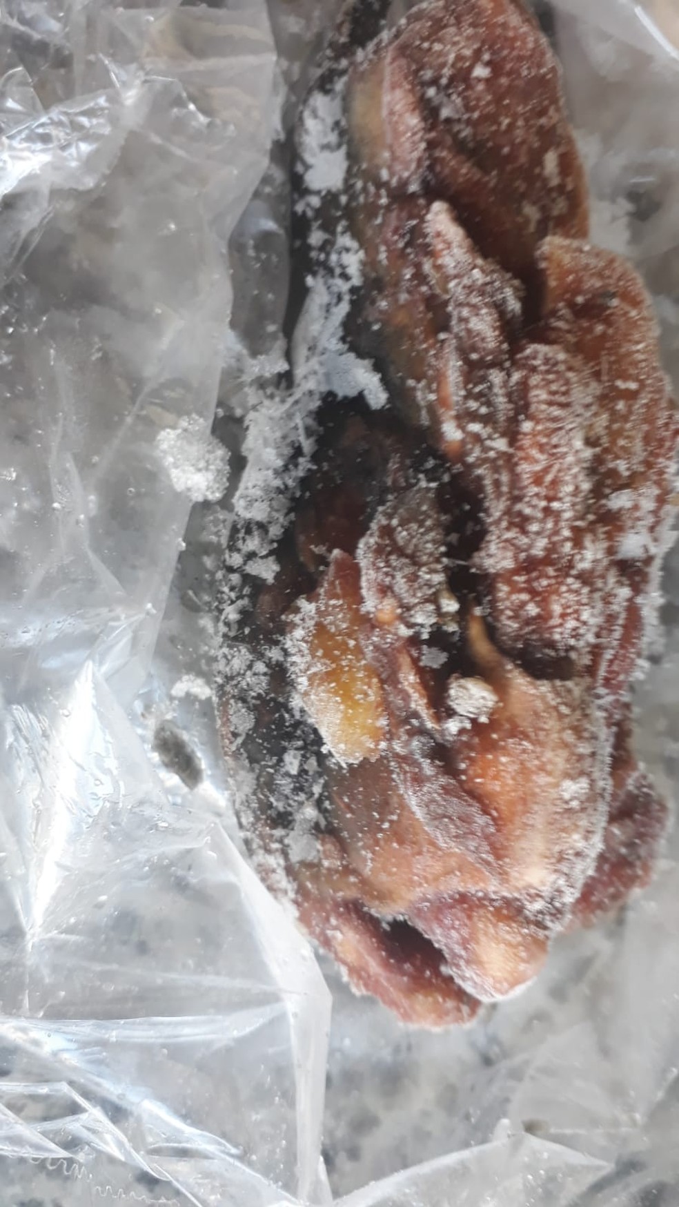 A consumidora foi orientada pela vigilância sanitária a deixar o corpo desconhecido congelado dentro de um saco, até a retirada — Foto: Arquivo pessoal