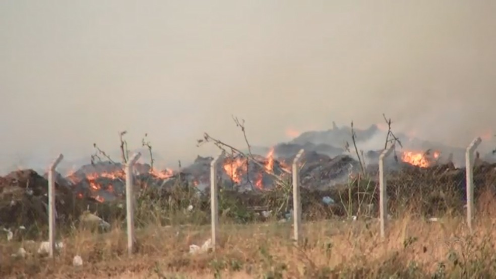 Inc&ecirc;ndio na &aacute;rea da Fazendinha em Rio Preto &mdash; Foto: Reprodu&ccedil;&atilde;o/TV TEM