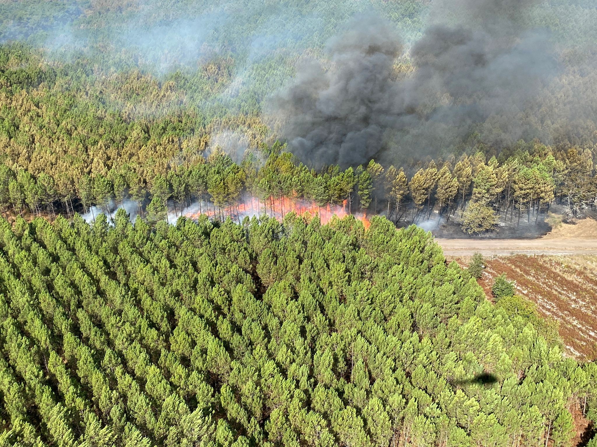 Incêndio na região de Gironda, sudoeste da França  (Foto: Reprodução/Reuters)