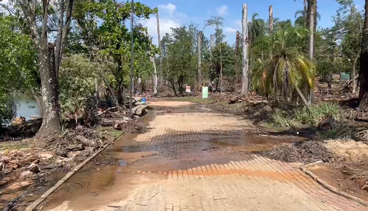 Dois meses após árvore cair e matar criança no Taquaral, Campinas revisa previsão e reabertura volta a ter data incerta