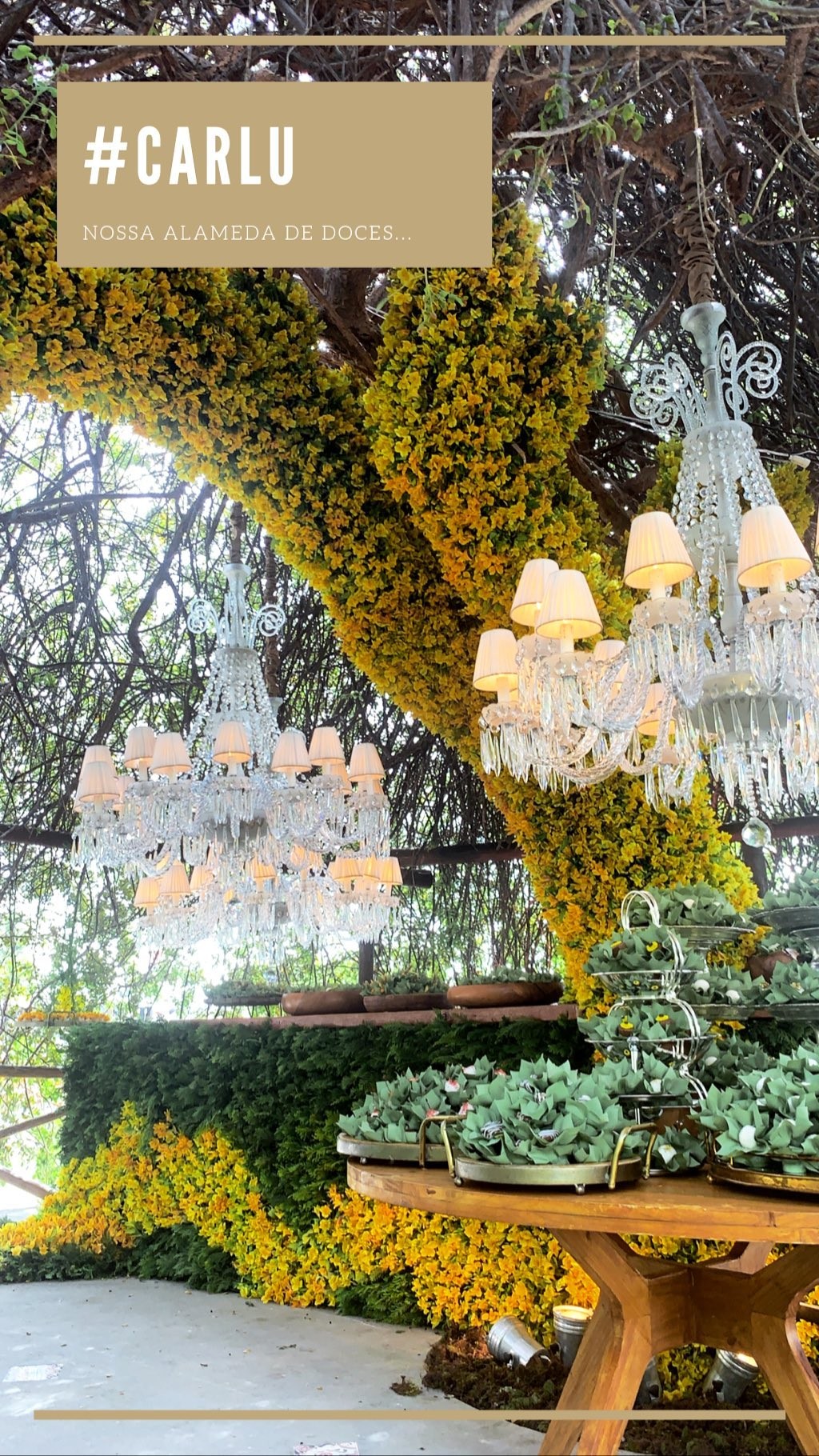 Detalhes do casamento de Carlinhos Maia e Lucas Guimarães (Foto: Reprodução/Instagram)