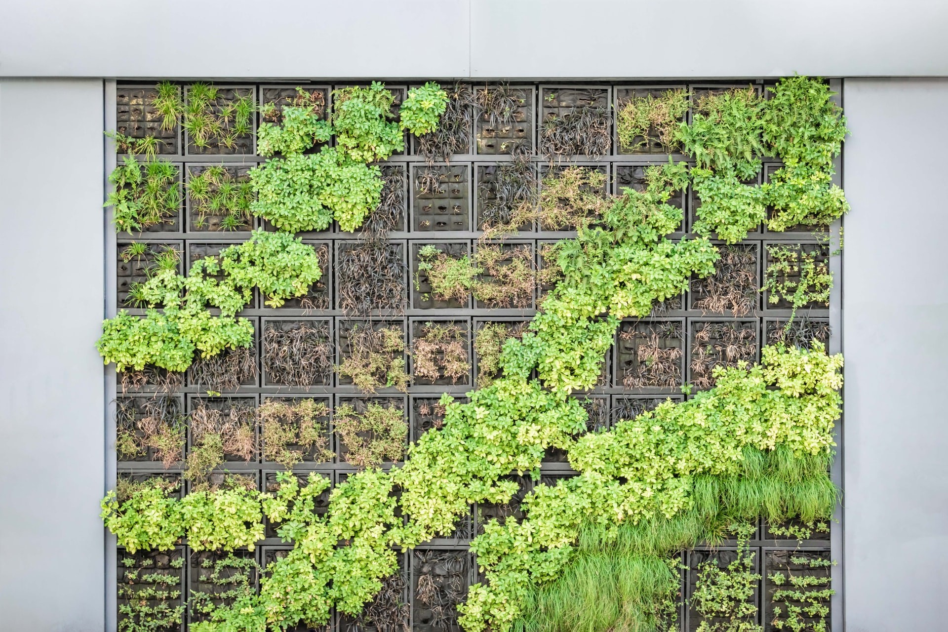Jardins verticais são um elemento importante do design biofílico, que propõe um contato com a natureza dentro de casa  (Foto: Unsplash / Creative Commons)