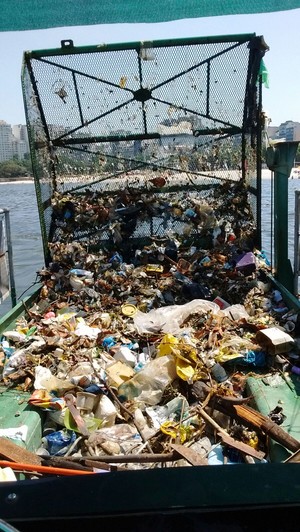 Ecobarcos Baía de Guanabara (Foto: Divulgação)