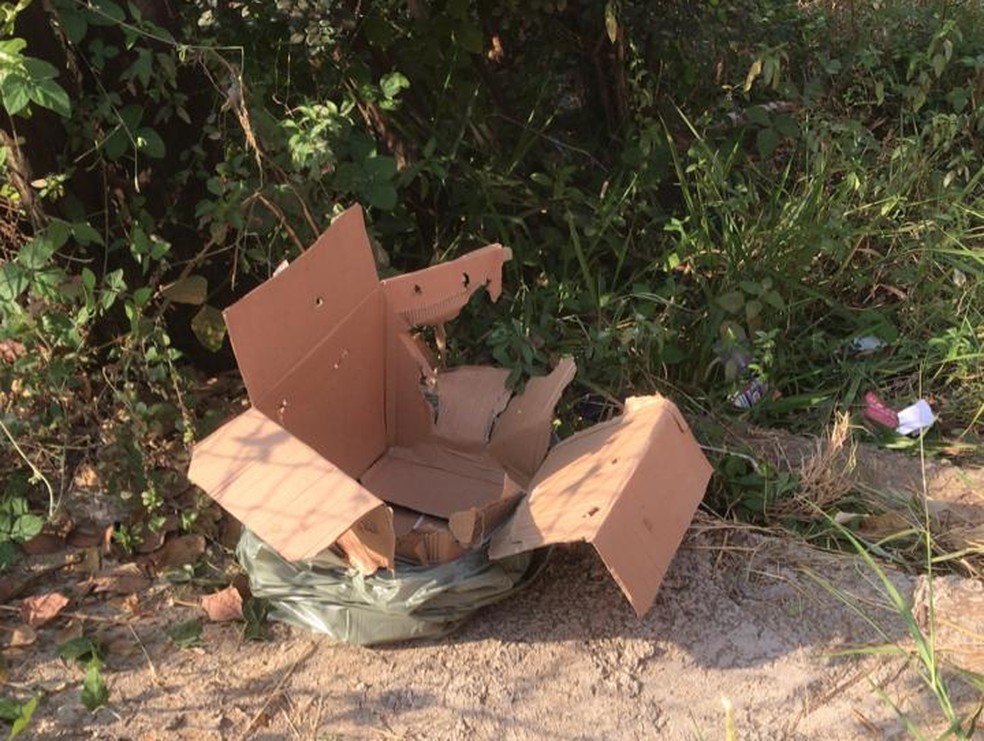 Bebê é encontrado em caixa de papelão em Ipatinga  — Foto: Corpo de Bombeiros/Divulgação 