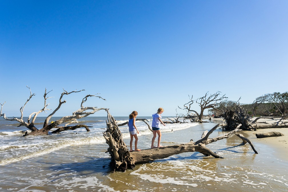 Driftwood Beach fica na Jekyll Island, Geórgia (EUA) — Foto: Divulgação/Jekyll Island