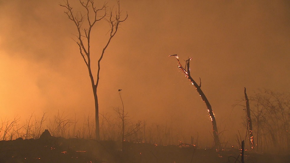 Incêndio no Cerrado do Distrito Federal — Foto: Joelson Maia / TV Globo