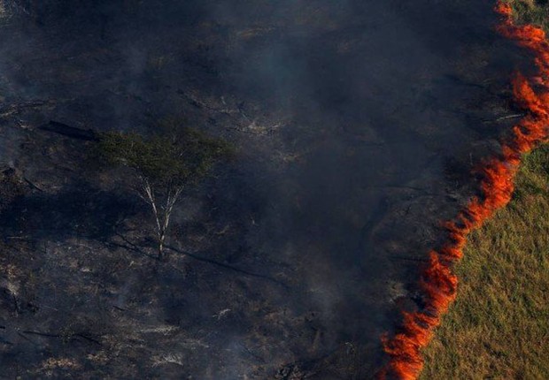 Volume inédito de incêndios destrói áreas protegidas e leva fogo a reservas de mata fechada ; queimada ; meio ambiente ; gases de efeito estufa ;  (Foto: Bruno Kelly/Agência O Globo)