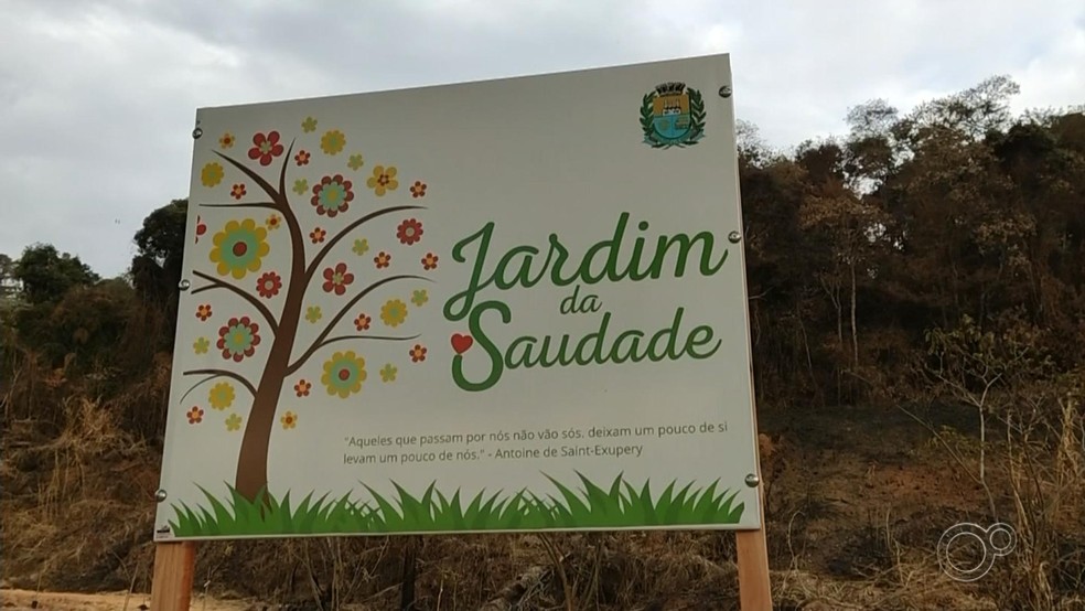 'Jardim da Saudade' homenageia vítimas da Covid-19 com plantio de árvores em Mairinque — Foto: Reprodução/TV TEM