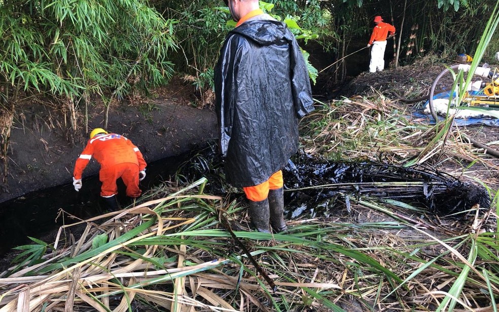 Durante a vistoria, houve o fechamento de válvulas, drenagem do produto e construídas barreiras de contenção — Foto: Adema/Divulgação