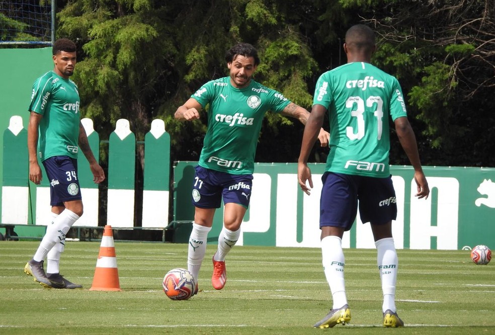 Ricardo Goulart concorre Ã  Ãºltima vaga de inscritos do Palmeiras no PaulistÃ£o â€” Foto: Felipe Zito