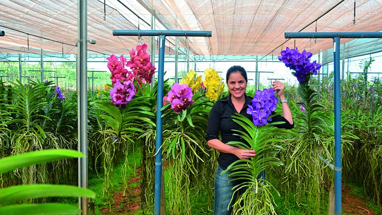 Aline Segeren Fonseca cultiva folhagens de vasos, orquídeas e ervas aromáticas em Holambra (Foto: Fokus Audiovisual)