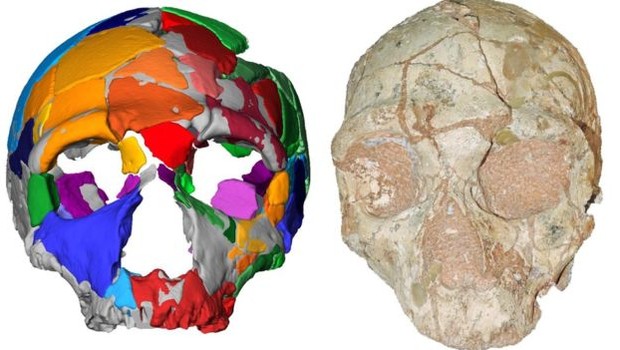 Apidima 2 parece ser de um neandertal e é um crânio mais novo que o moderno crânio humano encontrado junto (Foto: BBC)