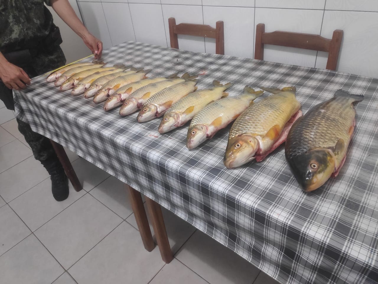 Fiscalização apreende 18 quilos de peixes e multa pescadores em R$ 3,1 mil por captura durante a piracema