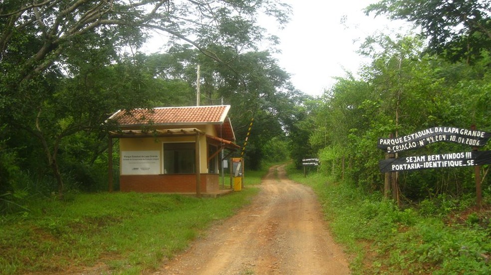 Parque Estadual da Lapa Grande (PELG) é considerada uma unidade de conservação integral (Foto: IEF/Divulgação)