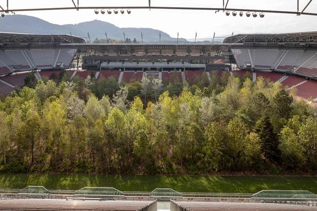 Estádio de futebol é transformado em floresta nativa com quase 300 árvores (Foto: Divulgação)
