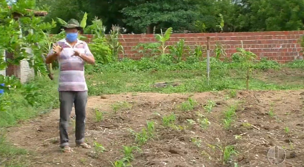 Agricultores temem seca no RN  — Foto: Reprodução/Inter TV Costa Branca