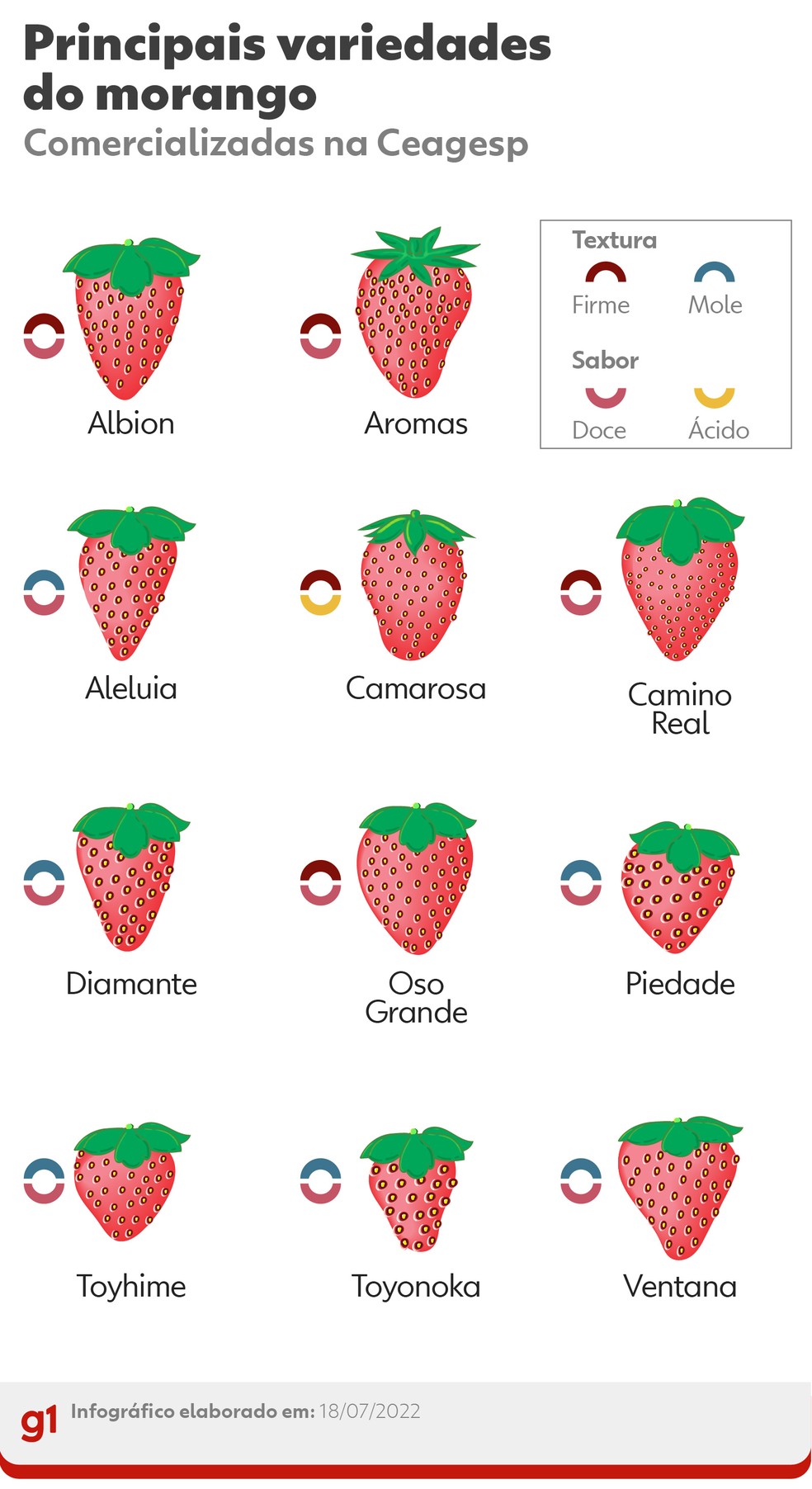 Conheça as principais variedades de morango — Foto: Wagner Magalhães/g1