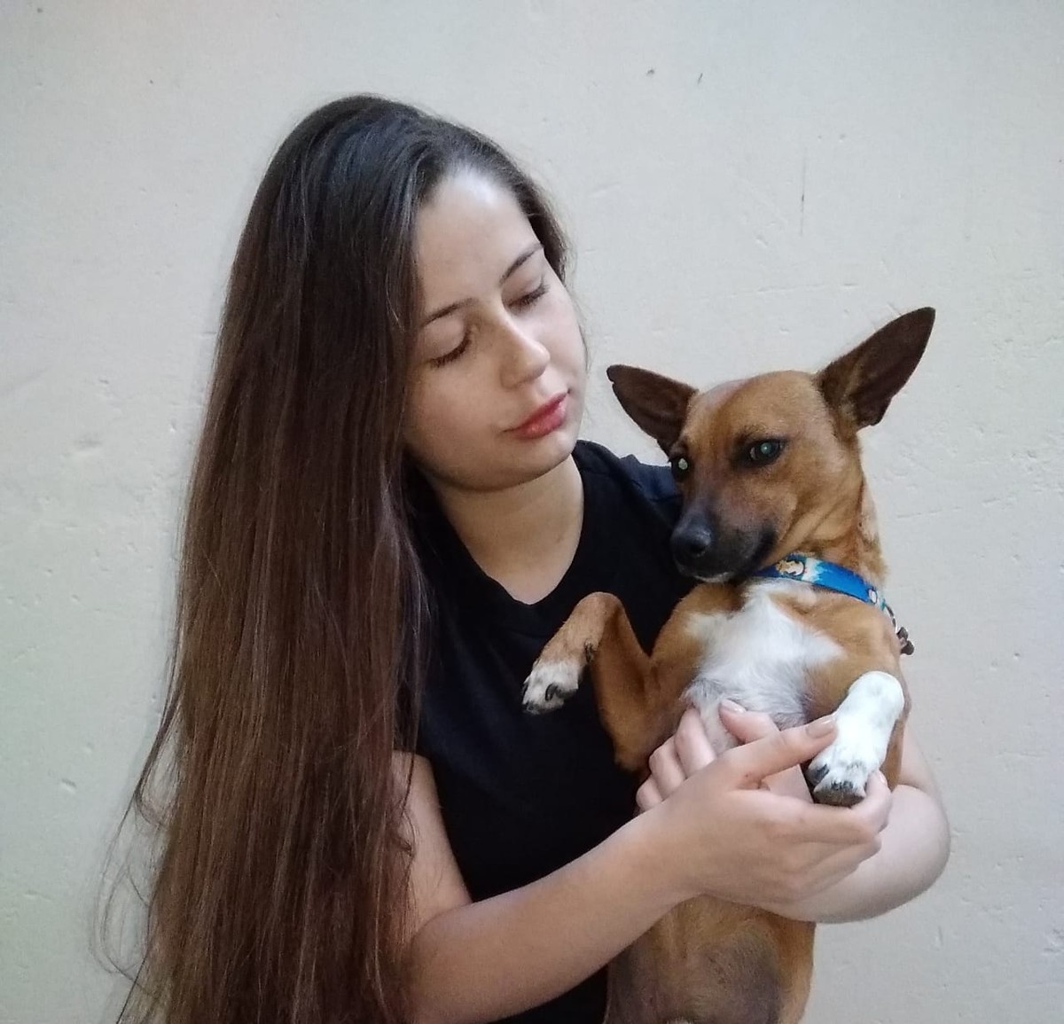 Tutora reencontra cãozinho que estava desaparecido há quase três anos em Montes Claros: 'Alívio saber que ele está bem'