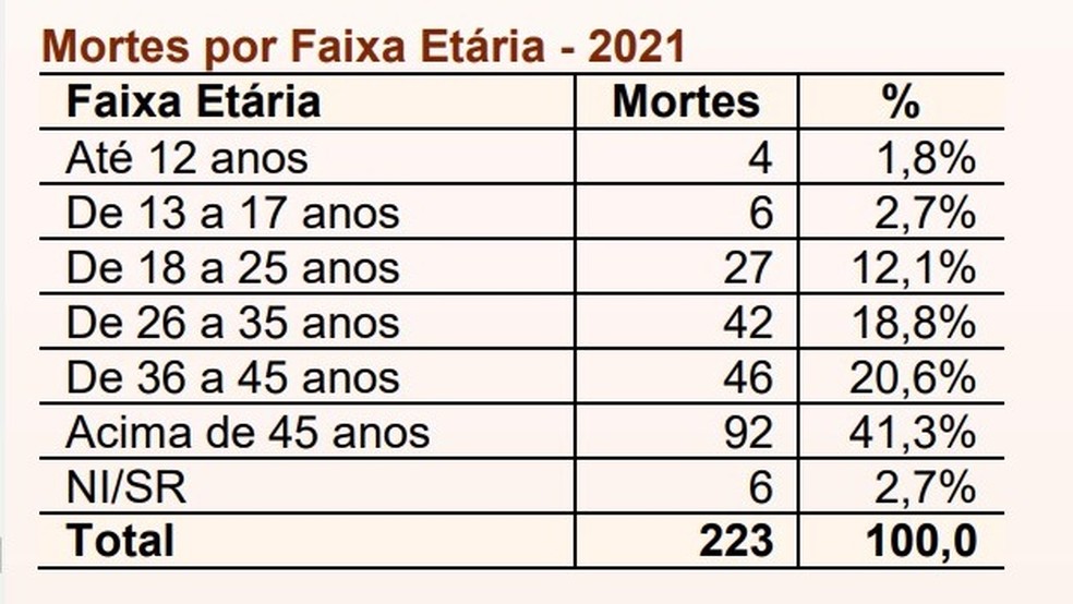 Mortes por faixa etária em 2021  — Foto: CNT