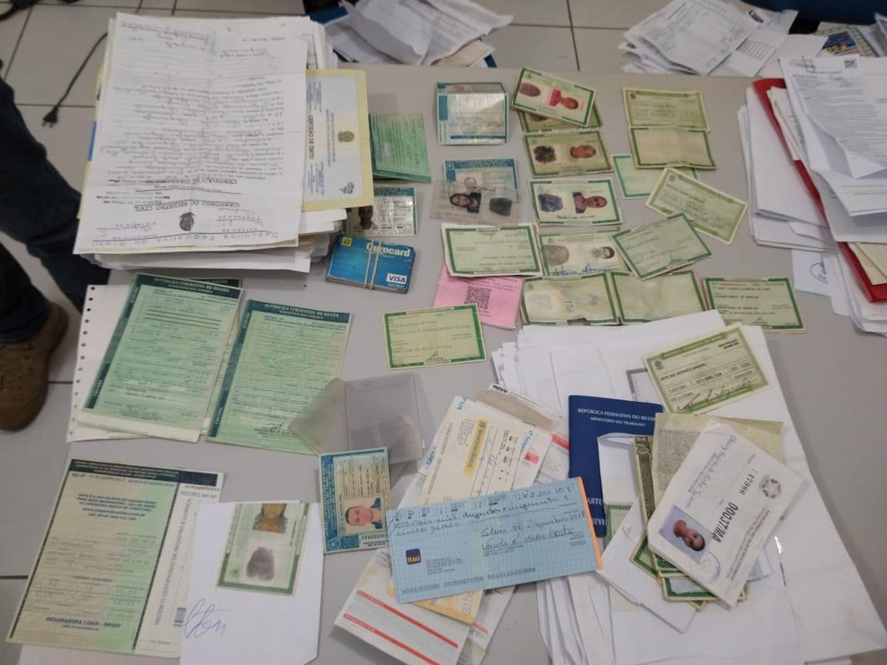 Diversos documentos falsificados foram apreendidos durante a operação em São Luís — Foto: Divulgação/Polícia Civil