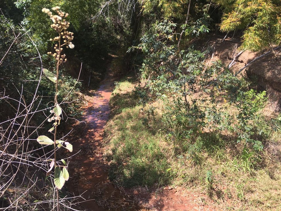 Cadáver foi encontrado dentro de córrego em Presidente Prudente nesta quarta-feira (2) — Foto: Aline Costa/G1