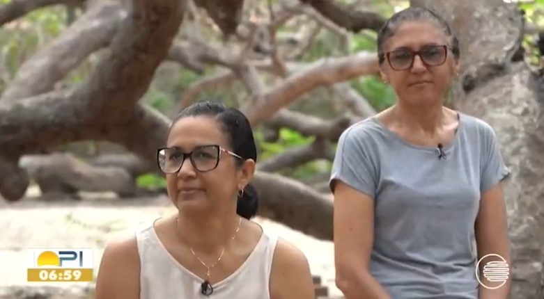 'Vizinhas' do Cajueiro-Rei, que disputa título de maior do mundo, irmãs contam experiências; árvore nasceu de uma única semente