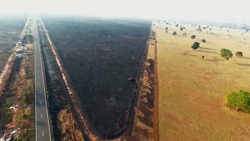 Drone captou 'mar cinza' de vegetaÃ§Ã£o queimada prÃ³xima a rodovia em MS â Foto: Luiz Felipe Mendes/Arquivo Pessoal