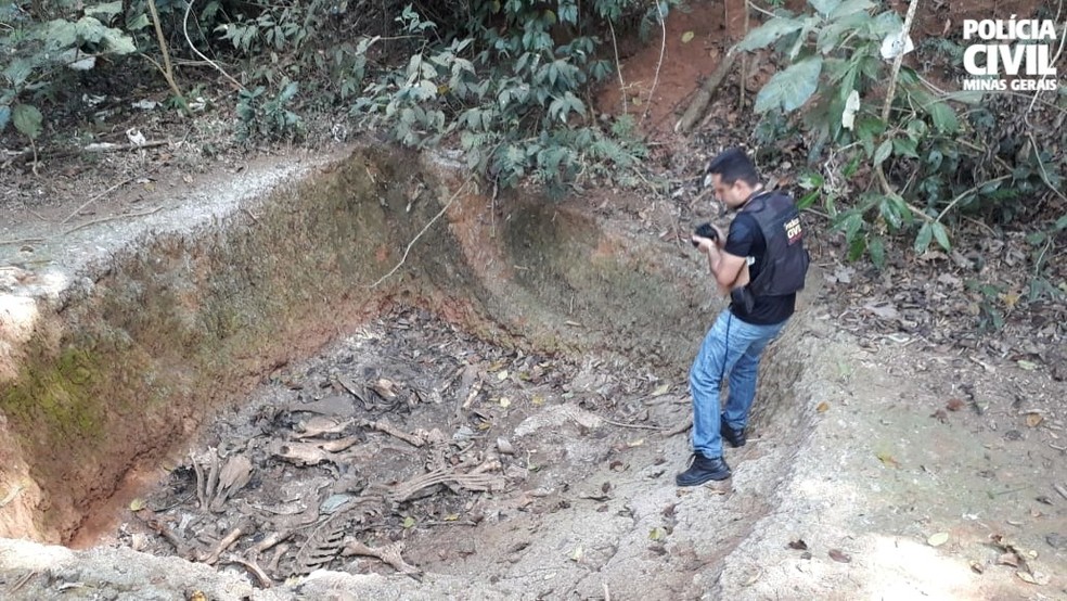 Carcaças de animais foram encontradas em covas na fazenda — Foto: Polícia Civil/Divulgação
