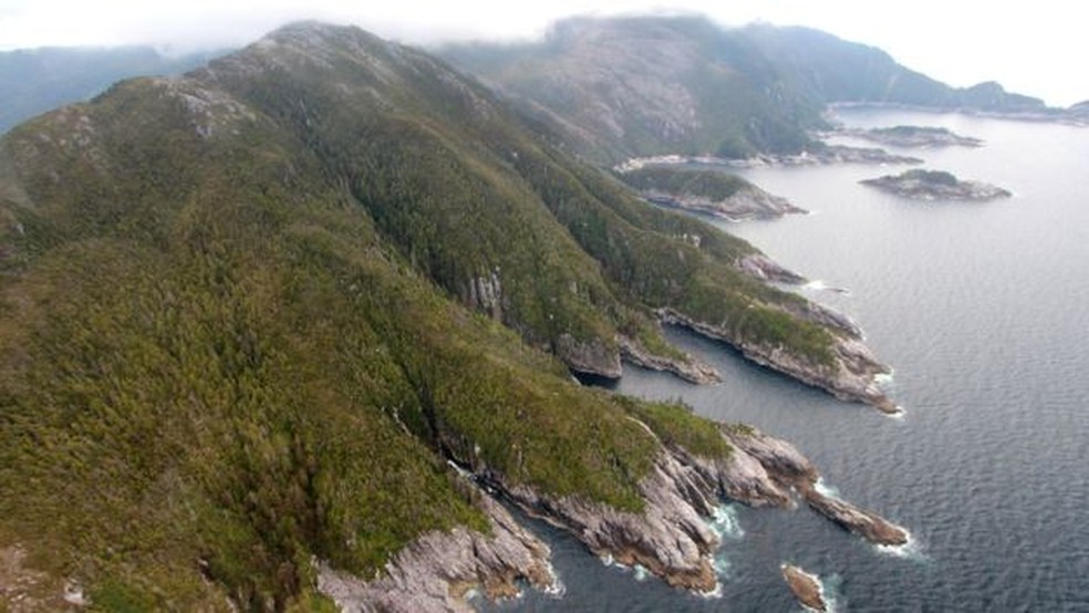 Vegetação densa, nevoeiro e terreno montanhoso dificultaram acesso a locais onde seria possível coletar amostras (Foto: Jason Briner)