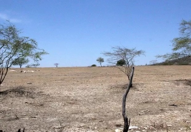 Área desertificada no interior de Alagoas, onde há campanha para reduzir uso de queimadas (Foto: ASCOM - GOV. DE AL via BBC)