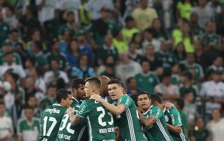 Palmeiras torcida (Foto: César Greco / Ag. Palmeiras / Divulgação)