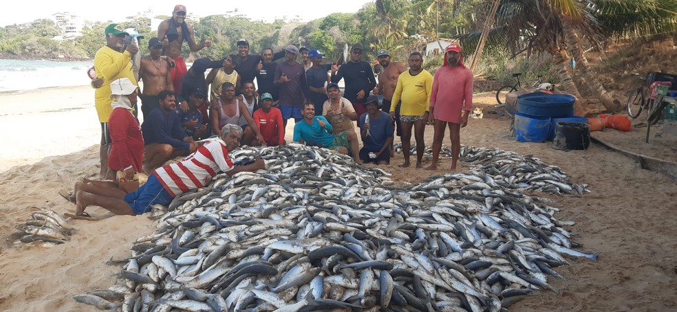 Pescadores comemoram captura de 8 mil peixes durante pescaria na Grande Natal — Foto: Redes sociais
