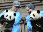 Backstreet Boys brincam com pandas (Reuters/Stringer)