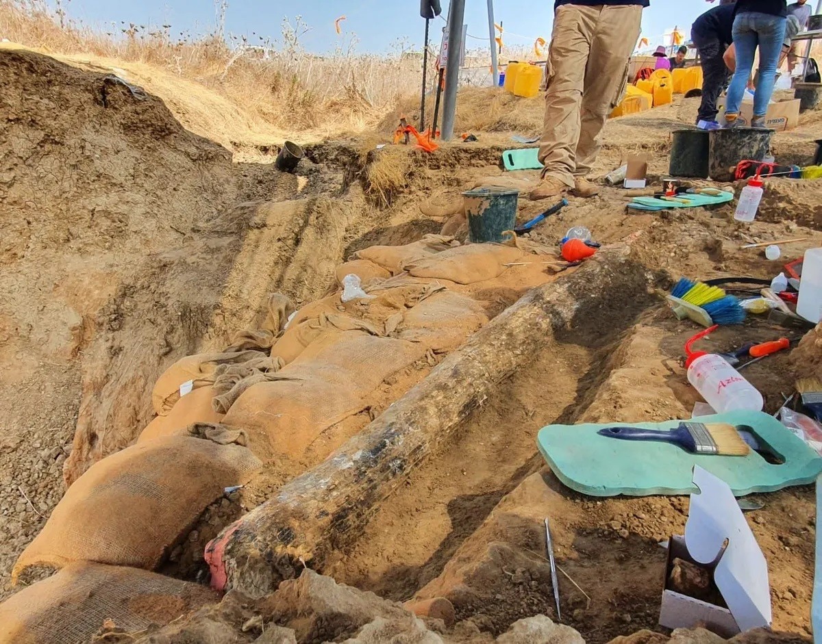 Presa de elefante escavada no sul de Israel (Foto: Israel Antiquities Authority)