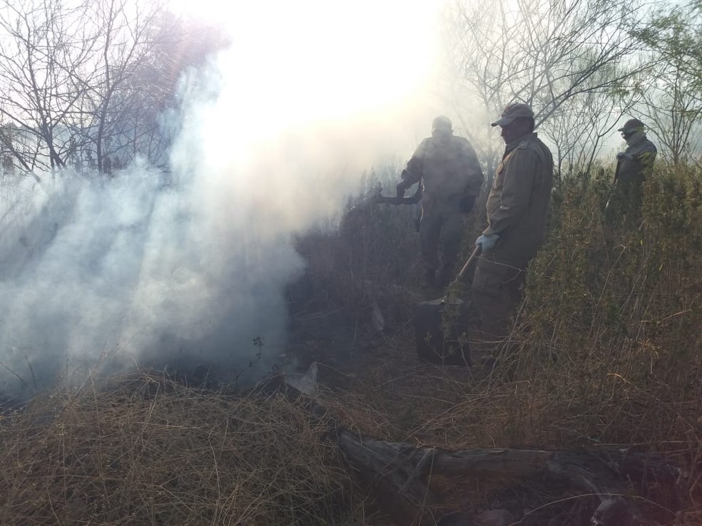 Fogo atinge vegetaÃ§Ã£o em Ã¡rea de proteÃ§Ã£o ambiental de Iguatu, no CearÃ¡ â€” Foto: Wandenberg BelÃ©m