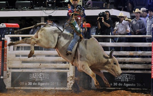 Surfista de SP troca mar e prancha por poeira e arreios para competir no  rodeio em cavalos, Festa do Peão de Barretos 2022