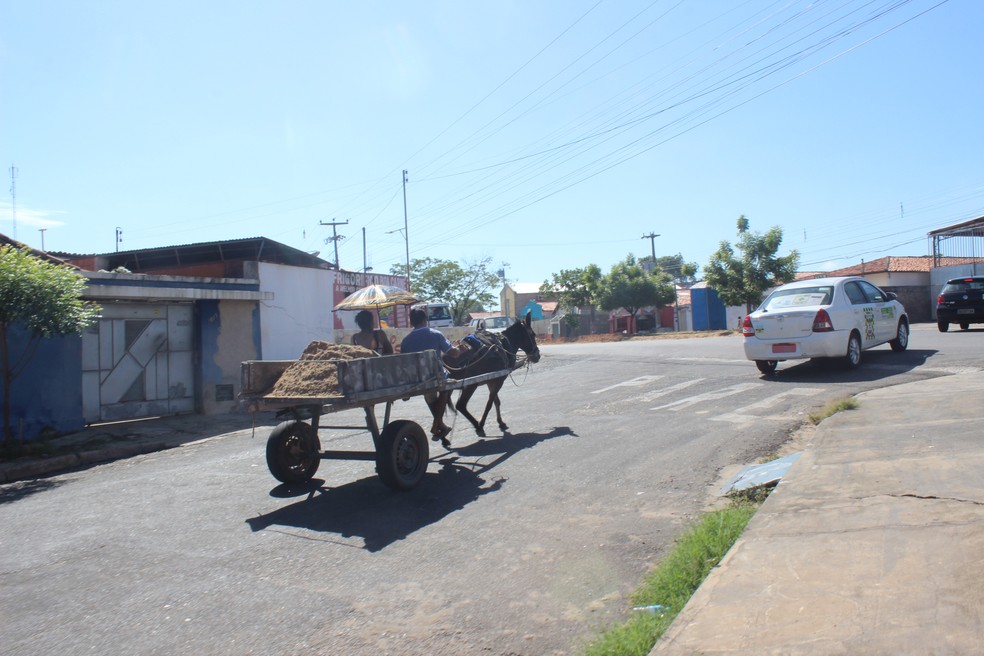 Prefeitura tem mais um ano para tirar carroceiros das ruas da capital — Foto: Junior Feitosa/G1