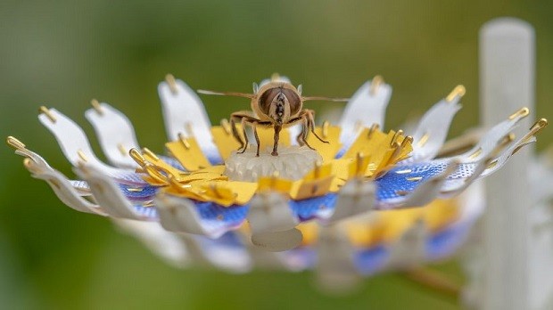 Designer holandesa cria flores artificiais para alimentar insetos polinizadores (Foto: Divulgação)