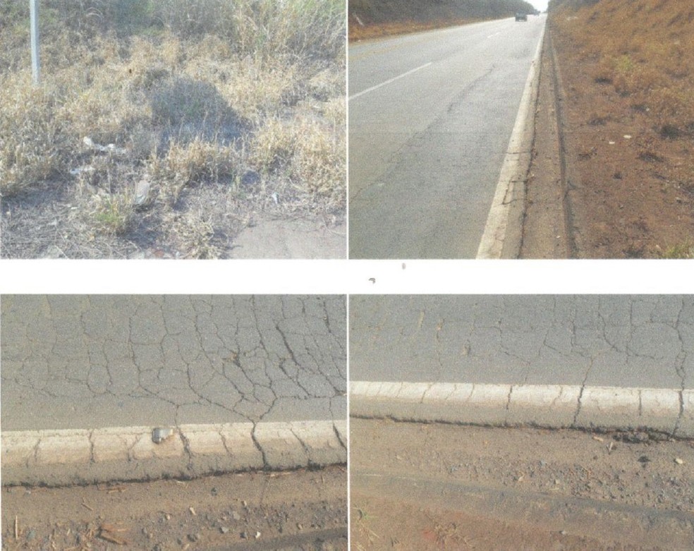 Imagens feitas durante fiscalização da Prefeitura de Cordeirópolis na rodovia — Foto: Reprodução
