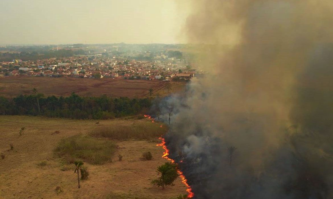 Fogo no Pantanal (Foto: Mayke Toscano/Secom-MT)
