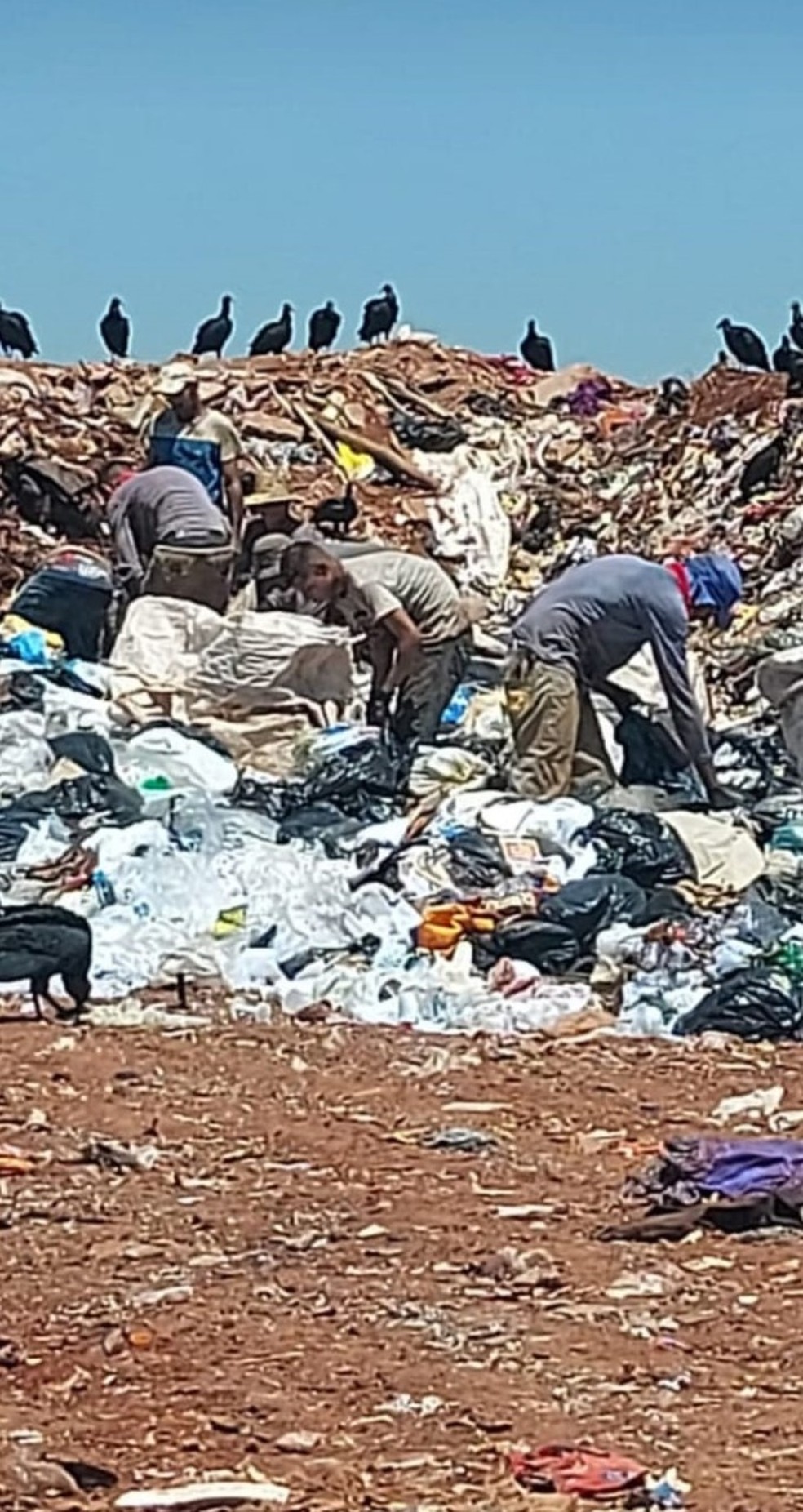 Catadores em meio ao lixo em Itápolis (SP) — Foto: Tribunal de Contas do Estado de São Paulo/Divulgação