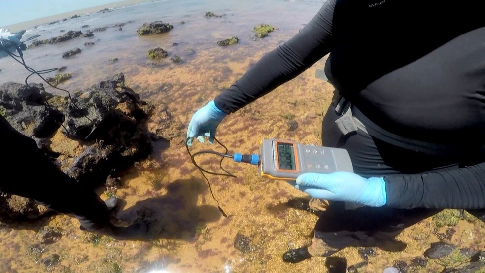 Pesquisadores de 24 universidades estudam impactos da lama da Samarco â Foto: Rafael Zambe/ TV Gazeta
